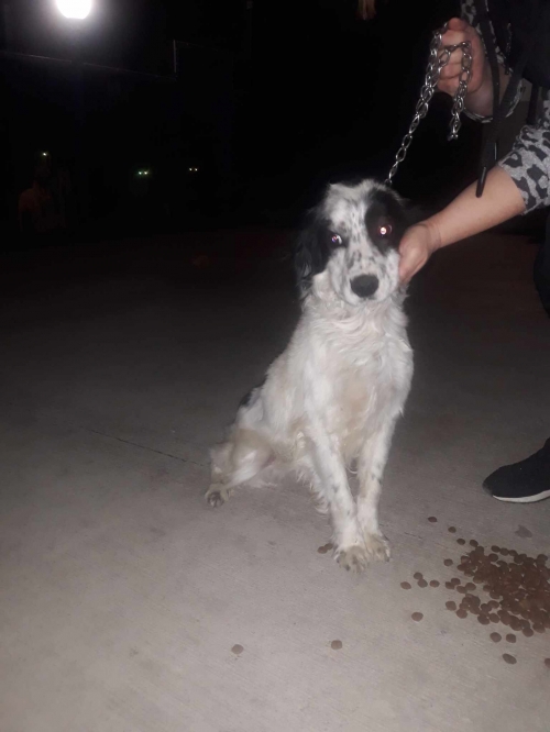 მეტისი აეროპორტის გზა