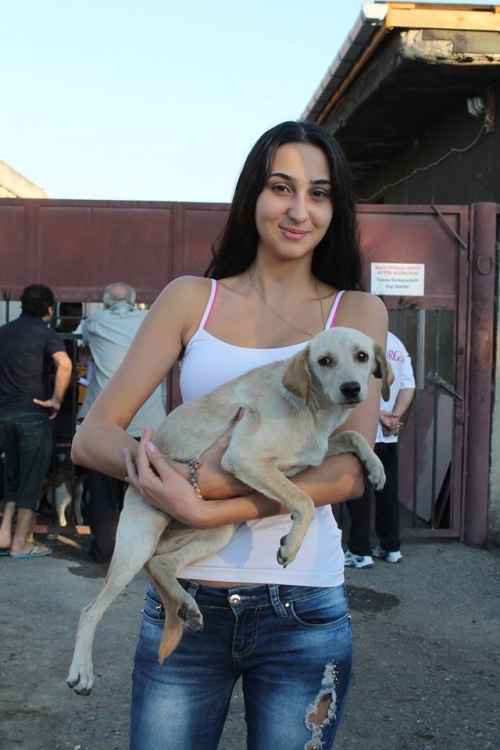 მეტისი უსახელო