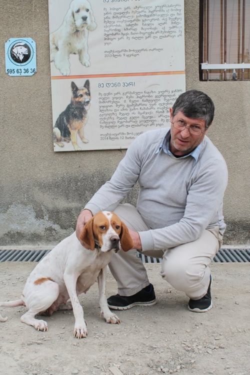 პოინტერი ჯული