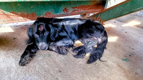 მეტისი ვარკეთილი მეტრო