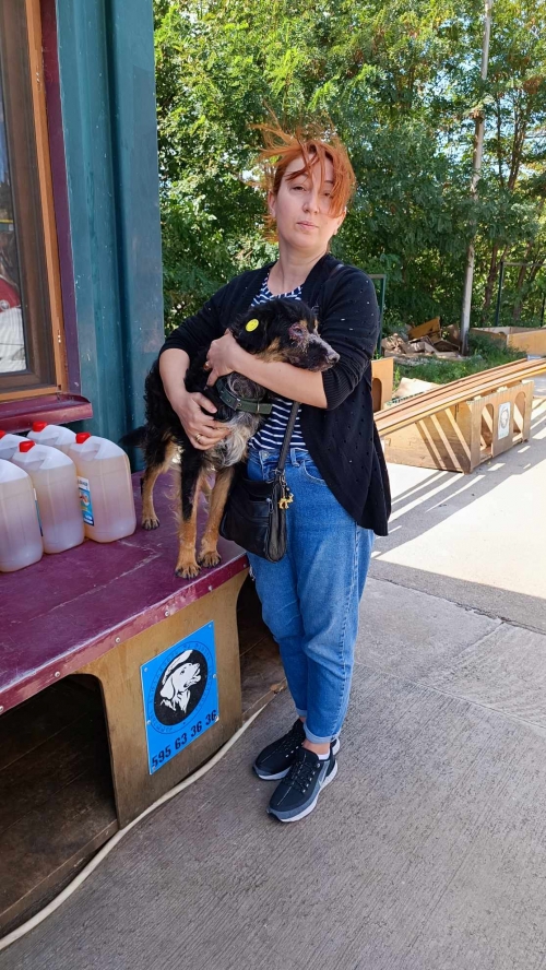 მეტისი ბობი