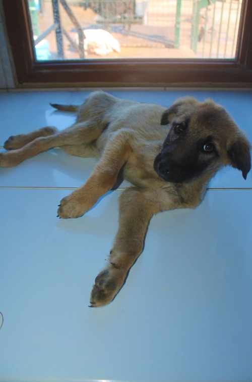 მეტისი უსახელო