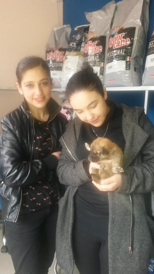 მეტისი უსახელო