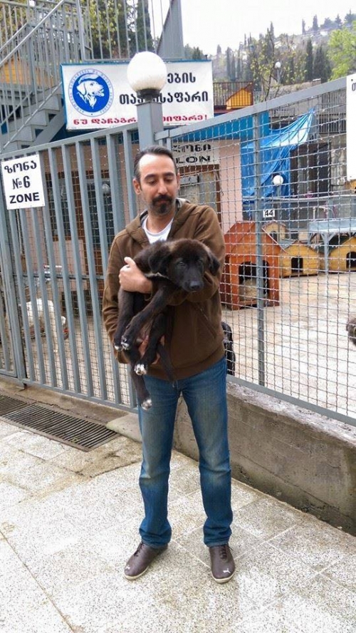 მეტისი კარლოსა