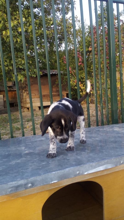 მეტისი უსახელო