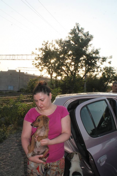 მეტისი უსახელო