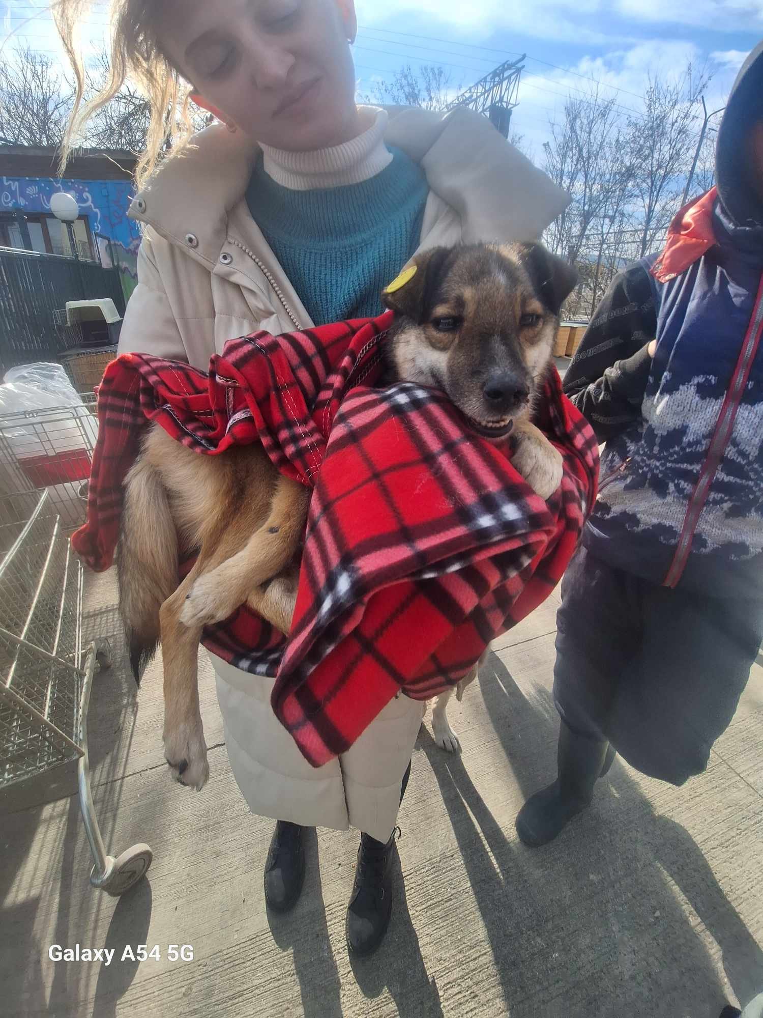 ლილოს ბაზრობა