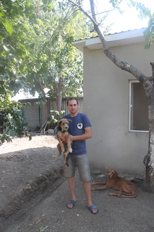 ბალონკის მეტისი უსახელო