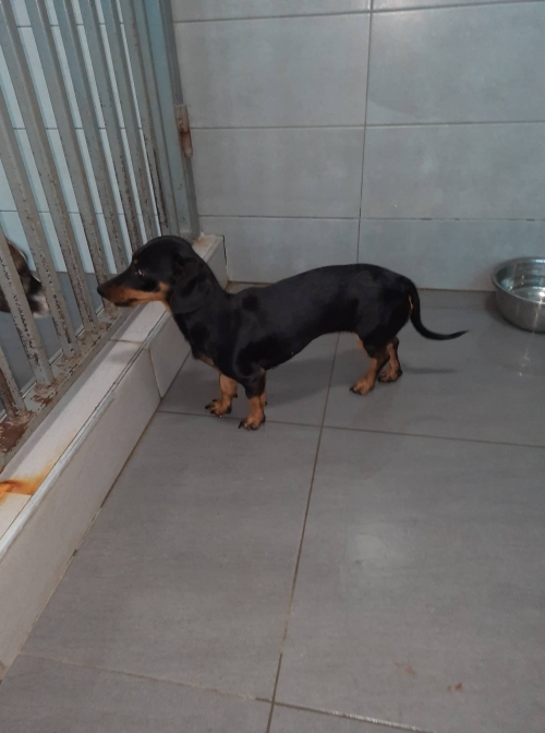 ტაქსა მოიყვანა უცხოელმა