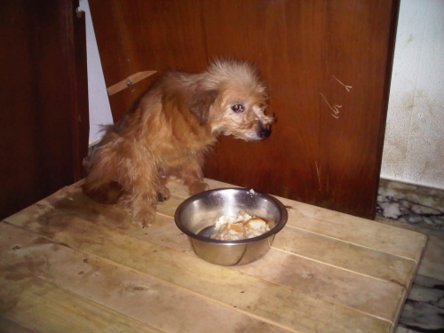 * გარდაცვლილები