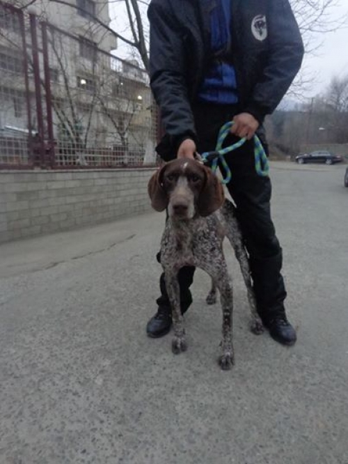 კურცხაარი უსახელო