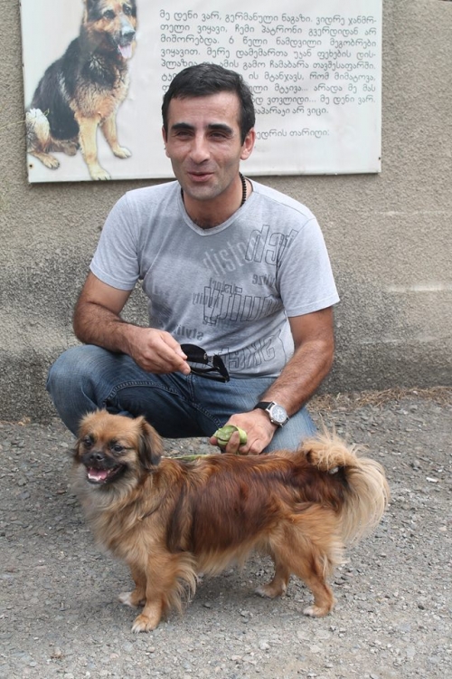 პეკინესი ლინდა