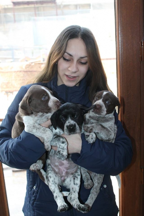 მეტისი უსახელო