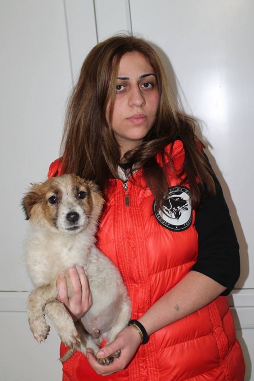 მეტისი უსახელო