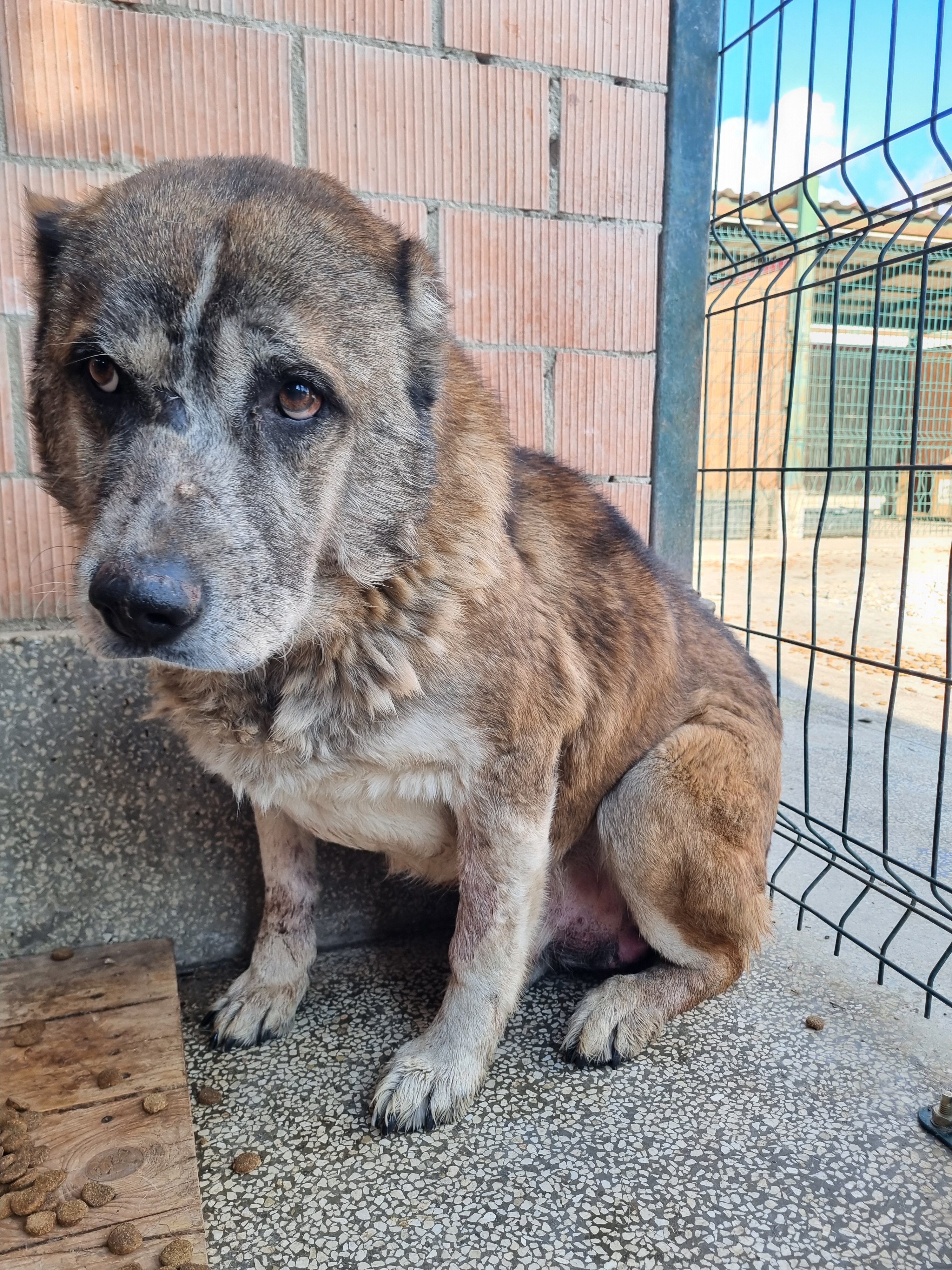 მეტისი. ლილოს დასახლება