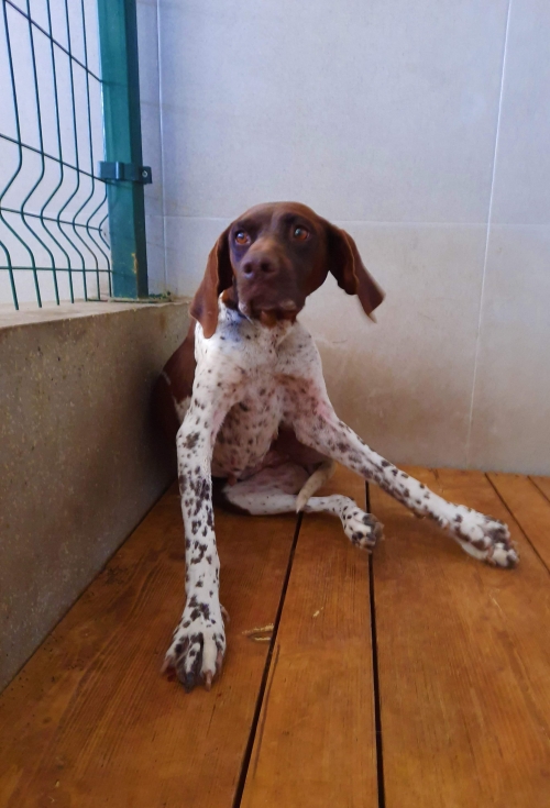 კურცხაარი უსახელო