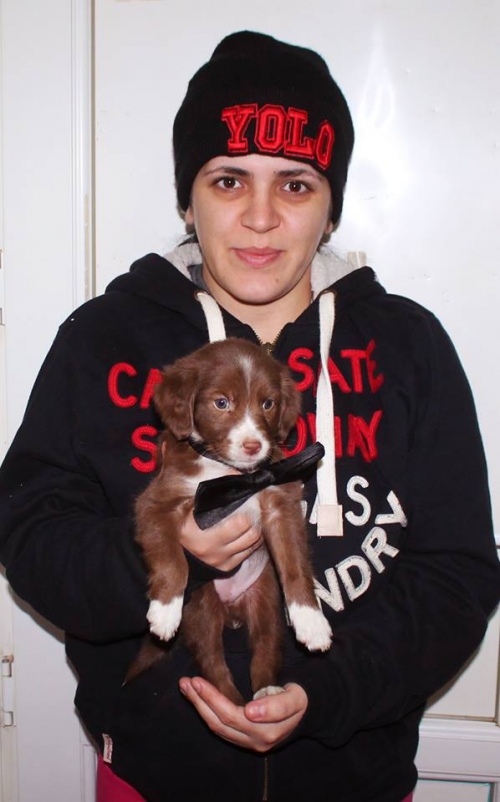 მეტისი უსახელო