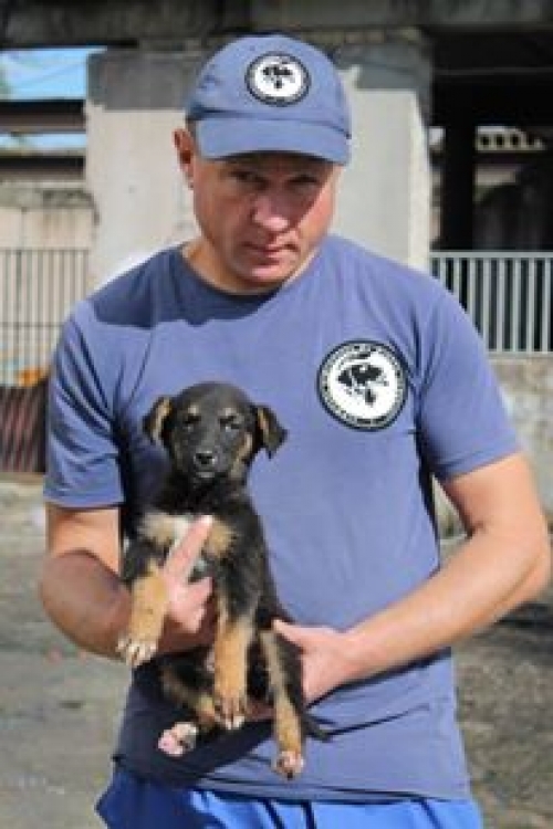 მეტისი უსახელო