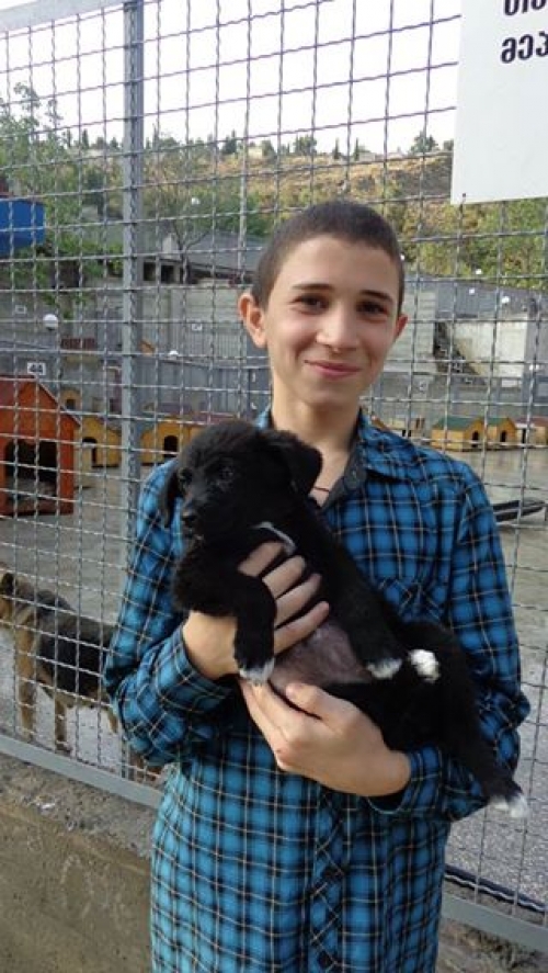 მეტისი უსახელო