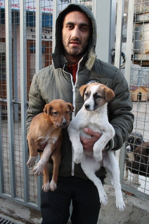 მეტისი უსახელო