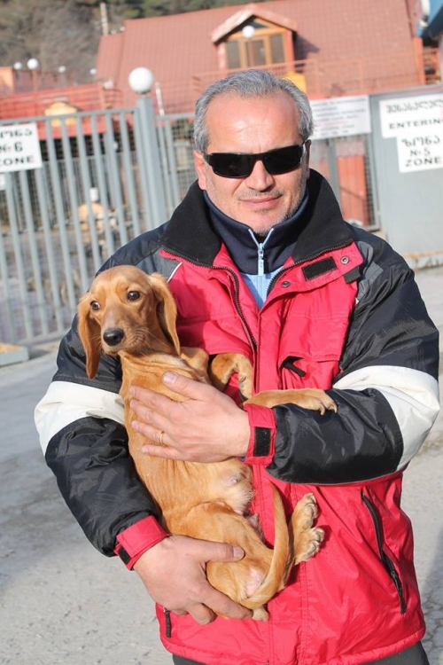 ტაქსას მეტისი უსახელო