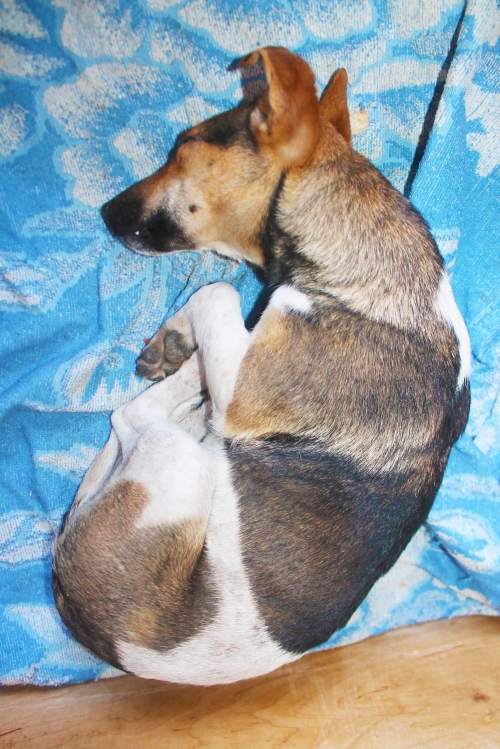 მეტისი უსახელო