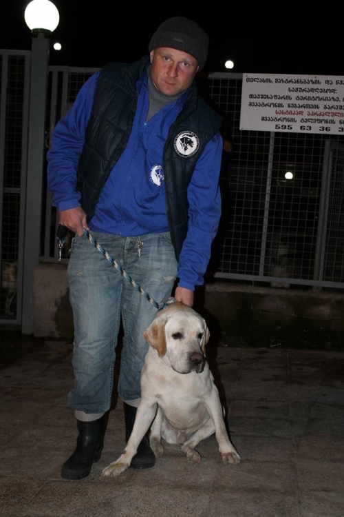 ლაბრადორი უსახელო