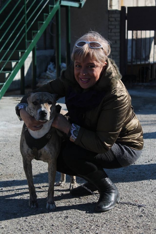 სტაფი ჯესი