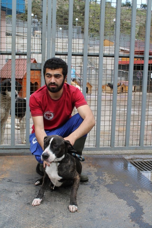 სტაფი უსახელო