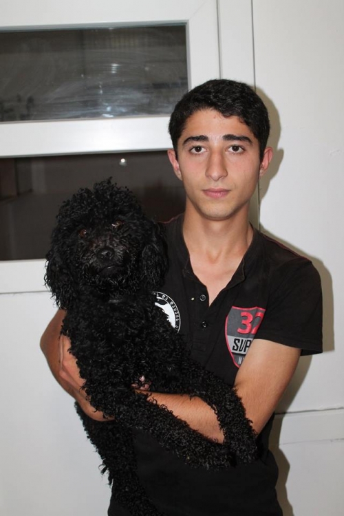 პუდელი უსახელო