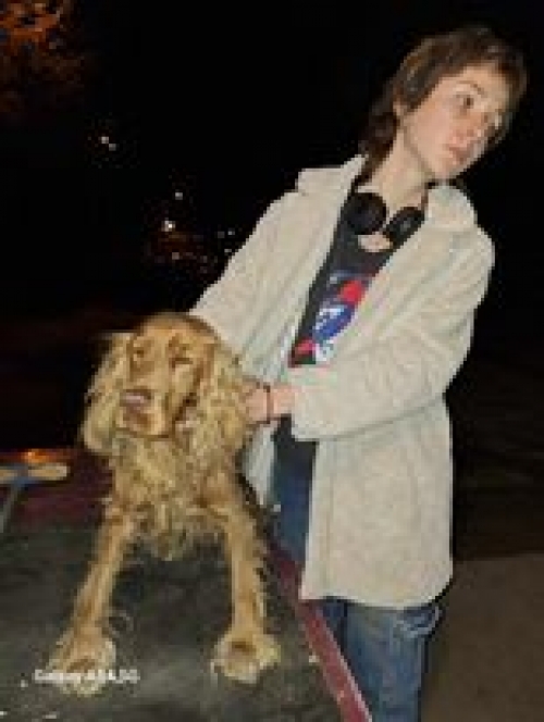 კოკერსპანიელი ღრმაღელეს მეტრო