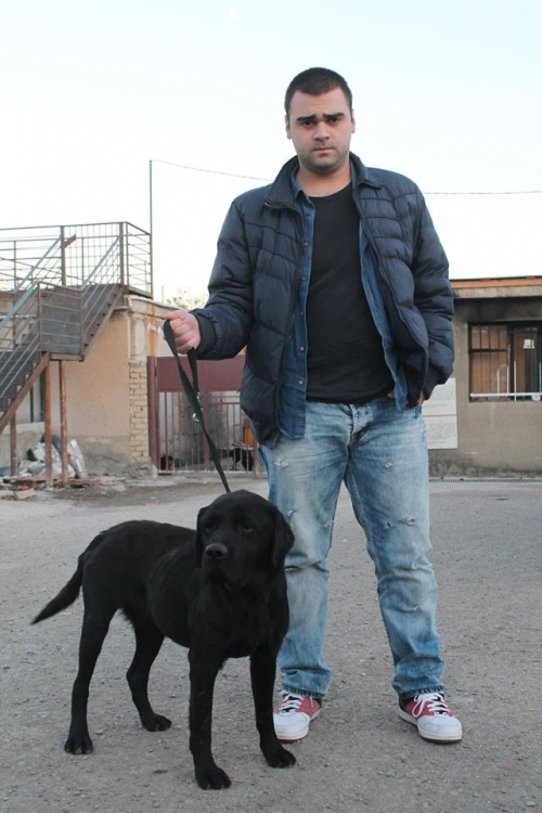 ლაბრადორი უსახელო