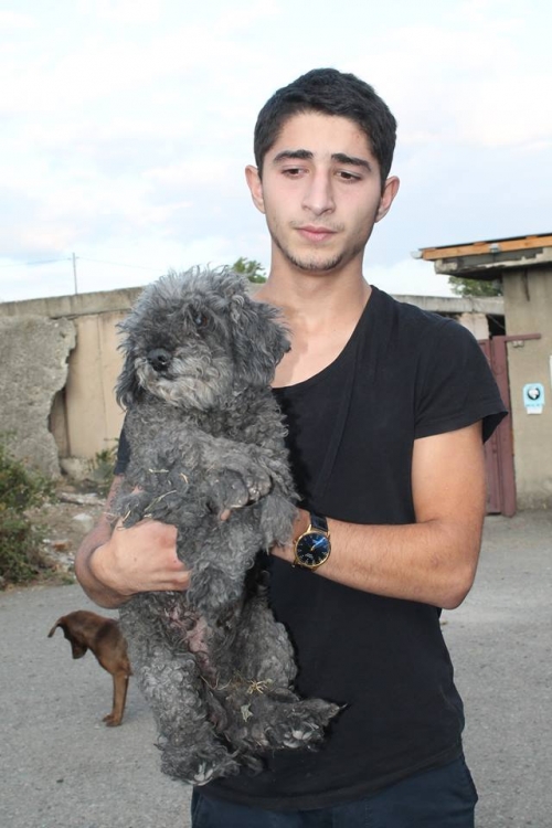 პუდელი უსახელო